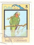 Sellos de America - Cuba -  amazona leucocephala RESERVADO