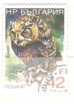 Stamps Bulgaria -  bubo bubo