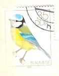 Stamps : Europe : Germany :  blaumeise RESERVADO