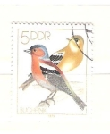 Stamps Germany -  bugmeinkg RESERVADO
