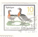 Stamps : Europe : Germany :   Gansos RESERVADO