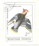 Stamps Germany -  bombycilla garrulus