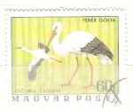 Stamps Hungary -  ciconia ciconia