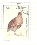 Stamps Poland -  Perdix perdix RESERVADO