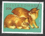 Stamps Romania -  2315 - Animales Jóvenes