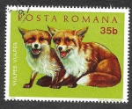 Sellos de Europa - Rumania -  2316 - Animales Jóvenes