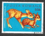 Sellos de Europa - Rumania -  2317 - Animales Jóvenes