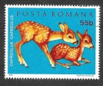Stamps Romania -  2317 - Animales Jóvenes