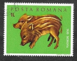 Stamps Romania -  2318 - Animales Jóvenes