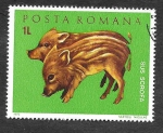 Stamps Romania -  2318 - Animales Jóvenes