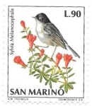 Sellos de Europa - San Marino -  pájaro