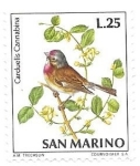 Stamps San Marino -  pájaro