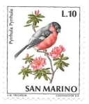 Stamps San Marino -  pájaro