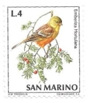Stamps San Marino -  pájaro