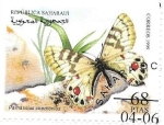 Stamps Morocco -  mariposas