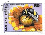 Stamps Hungary -  abejorro