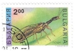 Sellos de Europa - Bulgaria -  insecto