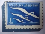 Stamps Argentina -  Palomas Mensajeras - Serie: Semana Internacional de la Carta.