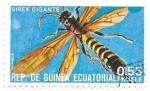 Stamps Equatorial Guinea -  insecto
