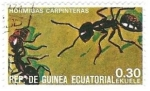 Stamps : Africa : Equatorial_Guinea :  insecto