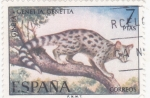Stamps : Europe : Spain :  gineta  (40)