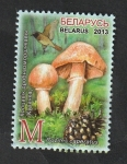 Sellos de Europa - Bielorrusia -  833 - Champiñón, rozites caperatus