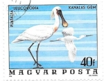 Stamps Hungary -  aves