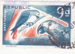 Sellos de Africa - Nigeria -  aves-loro gris