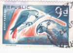 Sellos del Mundo : Africa : Nigeria : aves-loro gris