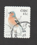 Stamps Ireland -  Frigilla coelebs