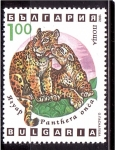 Stamps Bulgaria -  serie- Predadores