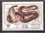 Stamps Russia -  serie- Fauna salvaje