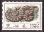 Stamps Russia -  serie- Fauna salvaje