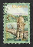 Stamps Uganda -  1933 - Leopardo