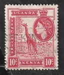 Stamps Uganda -  91 - Elizabeth II, y Jirafa