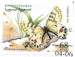 Stamps Morocco -  insectos