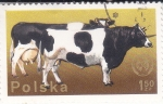 Stamps Poland -  ganado vacuno 