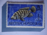 Sellos de America - Honduras -  Honduras - Honduras Británica(Bristis Honduras)Telapia Mozambique - Crana