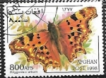 Sellos del Mundo : Asia : Afganist�n : Mariposa - Polygonia c-album