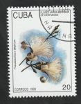 Stamps Cuba -  3316 - Flor del Jardín Botánico de Cienfuegos