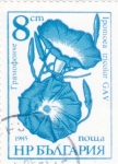 Stamps Bulgaria -  Flores