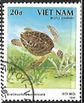 Stamps : Asia : Vietnam :  Tortuga
