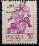 Stamps Poland -  POLONIA_SCOTT 2017.01 $0.25