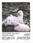 Sellos de America - Argentina -  aves
