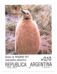 Sellos de America - Argentina -  aves