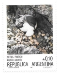 Stamps : America : Argentina :  aves