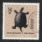 Stamps Poland -  1261 - Tortuga de agua