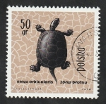 Sellos de Europa - Polonia -  1261 - Tortuga de agua