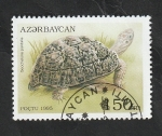 Stamps : Asia : Azerbaijan :  217 - Tortuga
