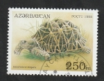 Stamps : Asia : Azerbaijan :  218 - Tortuga